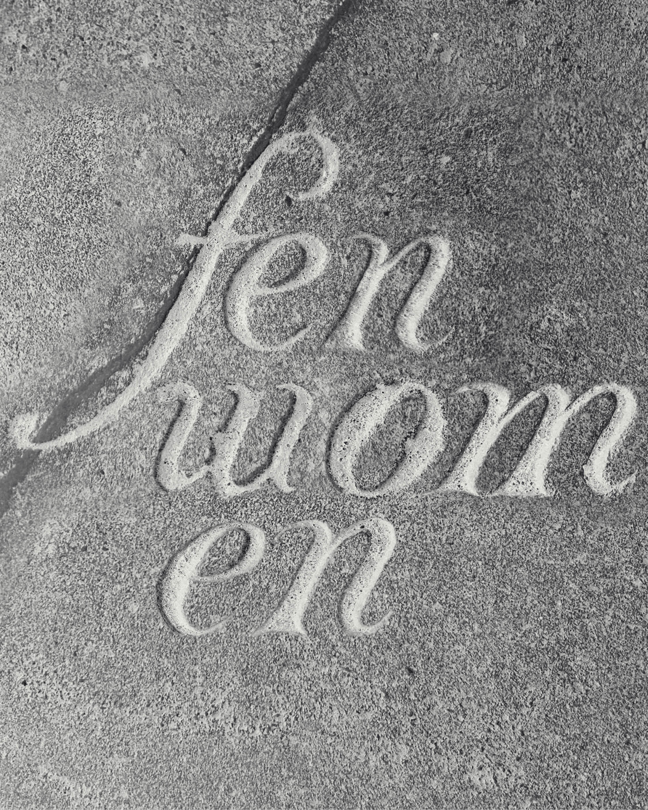 Fenwomen logo